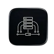 Digital Infrastructure Icon